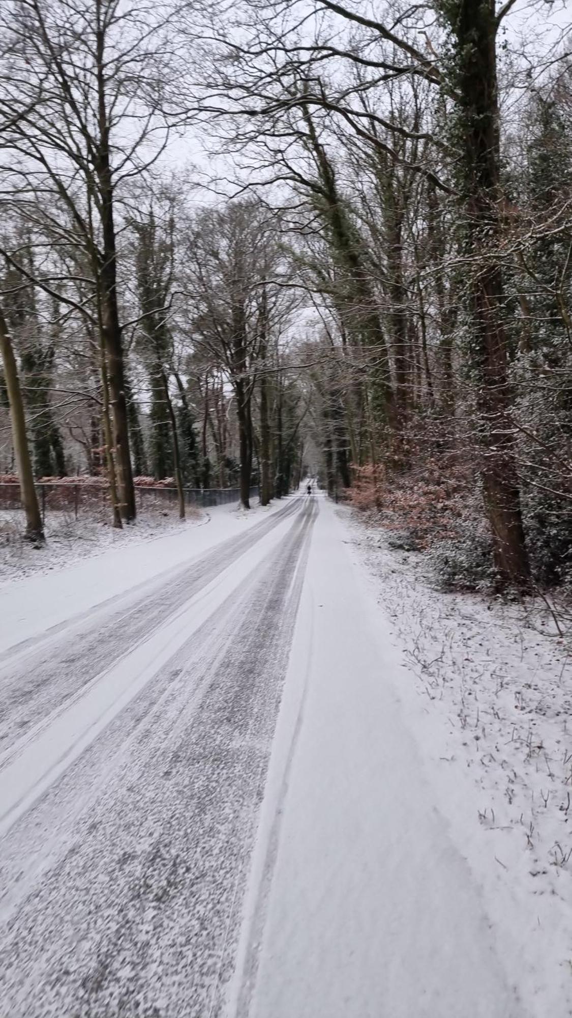 Logeren Bij Sabine En Jw Apartman Beekbergen Kültér fotó